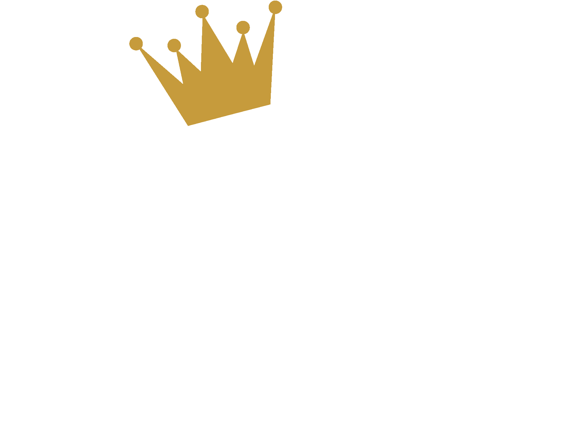 Cannon-Lear Enterprises logo