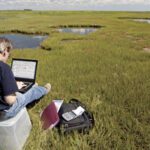 remote work